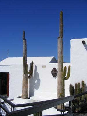 Cesar Manrique's Foundation - El Taro De Tahiche - Image 8
