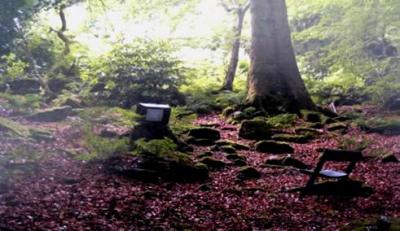 Avant Gardeners by Tim Richardson - Image 5