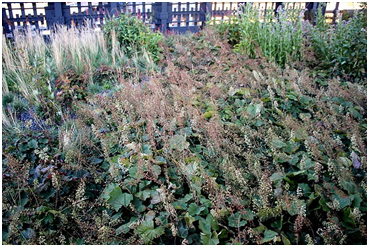 High Line - James Golden - 10