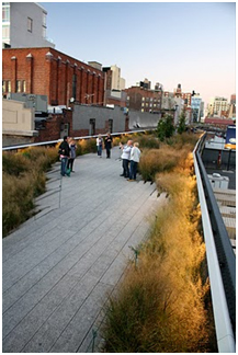 High Line - James Golden - 16