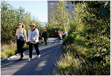 High Line - James Golden - 4