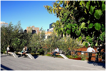 High Line - James Golden - 5