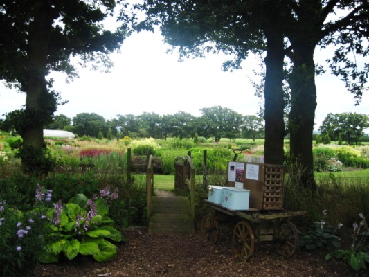 Sussex Prairies entrance copyright Kate Buxton