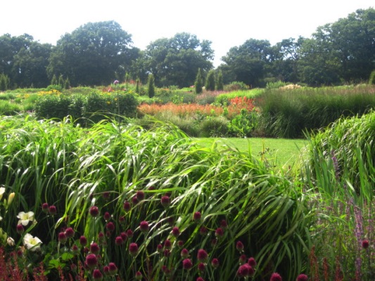 Sussex Prairies Garden copyright Kate Buxton