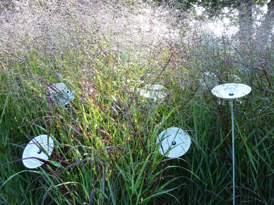 Sussex Prairie Garden 10 copyright Susan Wright Sussex Prairies, prairie gardens, prairie garden, Sussex gardens, sussex prairie garden, Sussex prairie gardens,Thinkingardens, think gardens, think in gardens, South Wales Garden, Welsh garden, Anne Wareham, Veddw, garden review