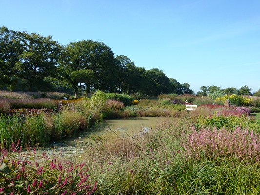 Sussex Prairie Gardens 2 copyright Susan Wright Sussex Prairies, prairie gardens, prairie garden, Sussex gardens, sussex prairie garden, Sussex prairie gardens,Thinkingardens, think gardens, think in gardens, South Wales Garden, Welsh garden, Anne Wareham, Veddw, garden review