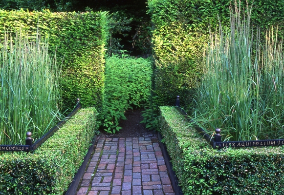 Cornfield Garden, Veddw, copyright Charles Hawes