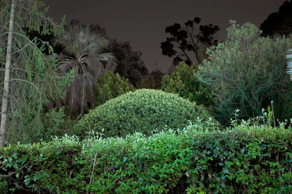 Villa Strohl-fern night copyright Lauren Kalfala