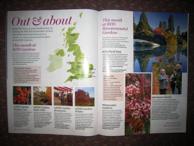 The Garden Out and About page Copyright Anne Wareham