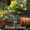 Brook Farm Berrington Brook Farm Berrington