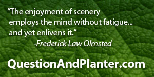 Question and Planter Question and Planter