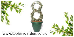 Topiary Garden Topiary Garden