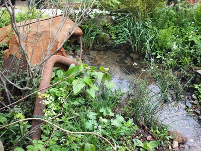 Forbidden Garden 2 copyright Anne Wareham
