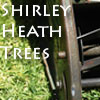 Shirley Heath Trees Shirley Heath Trees Fencing Birmingham